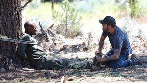 Reconnaissance par le feu