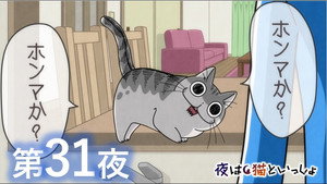 Épisode 31