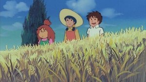 La vie sur l'île