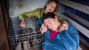 Épisode 5