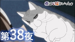 Épisode 38