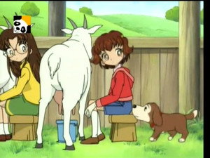 Pâquerette a un bébé