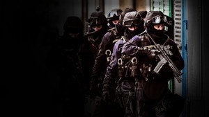 Taking Down the Gangs