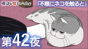 Épisode 42