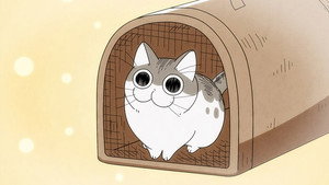 Épisode 1