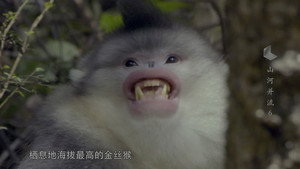Épisode 6