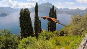 Le lac de Côme