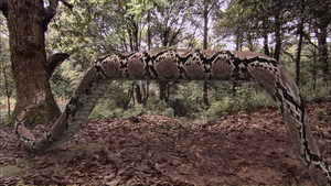 Épisode 40