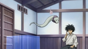 Les jours de Yoshimori