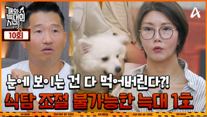 Episode 10