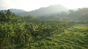 Why is India demolishing a paradise island?