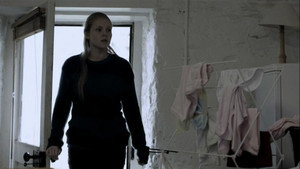 Case Histories (2)