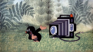 Taupek photographe