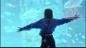 (BLACKPINK HOUSE)’ EP.8-5
