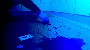 Expert en morpho analyse des traces de sang
