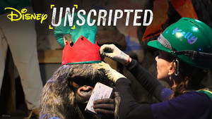 Decking The Docks Before Dawn: Jungle To Jingle Cruise Holiday Makeover