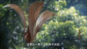 Épisode 3