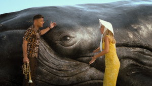 Maxine sauve une baleine