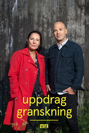 Saison 26