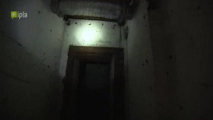 Épisode 12