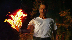 Le Flic (The Cop)