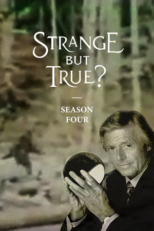 Saison 4
