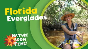 Florida Everglades
