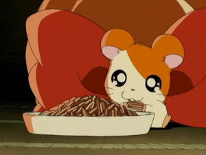 Reviens, Hamtaro !