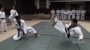 Korea (Hapkido)