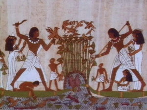 Champollion ou le mystère des hiéroglyphes