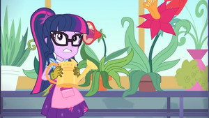 Épisode 8