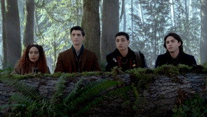 L'affaire de la forêt dévorante