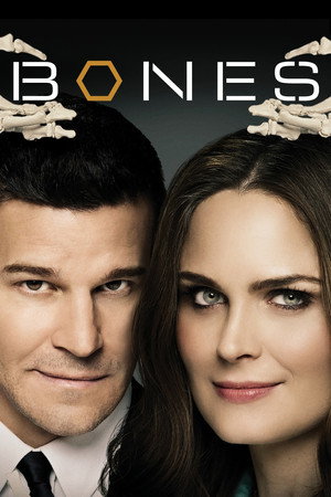 Season 11