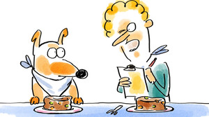 Dog Food