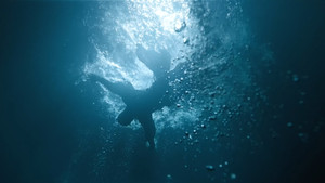 Épisode 15