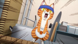 Épisode 7
