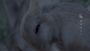 Épisode 2