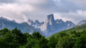 Picos de Europa