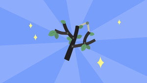 Épisode 50