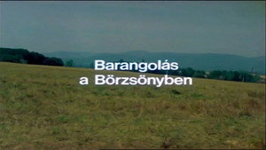 Épisode 6