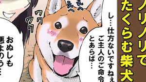Surprise! / Setsubun / Fetch: Shibas