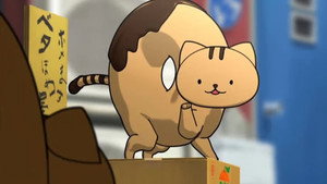 Épisode 11