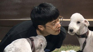 Épisode 295