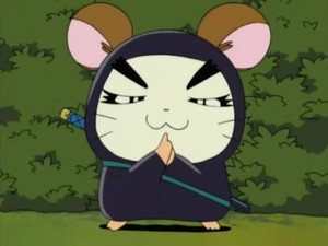 Ninjaro le Ninj'Ham