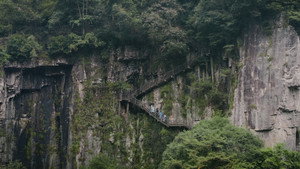 Immortal Penglai Falls into the Devil’s Path
