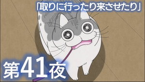 Épisode 41
