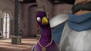 Pigeon recommandé