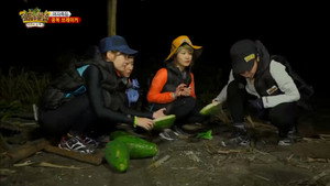 Épisode 213