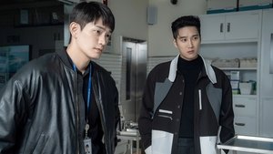 Épisode 11