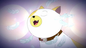 Cake le Chat